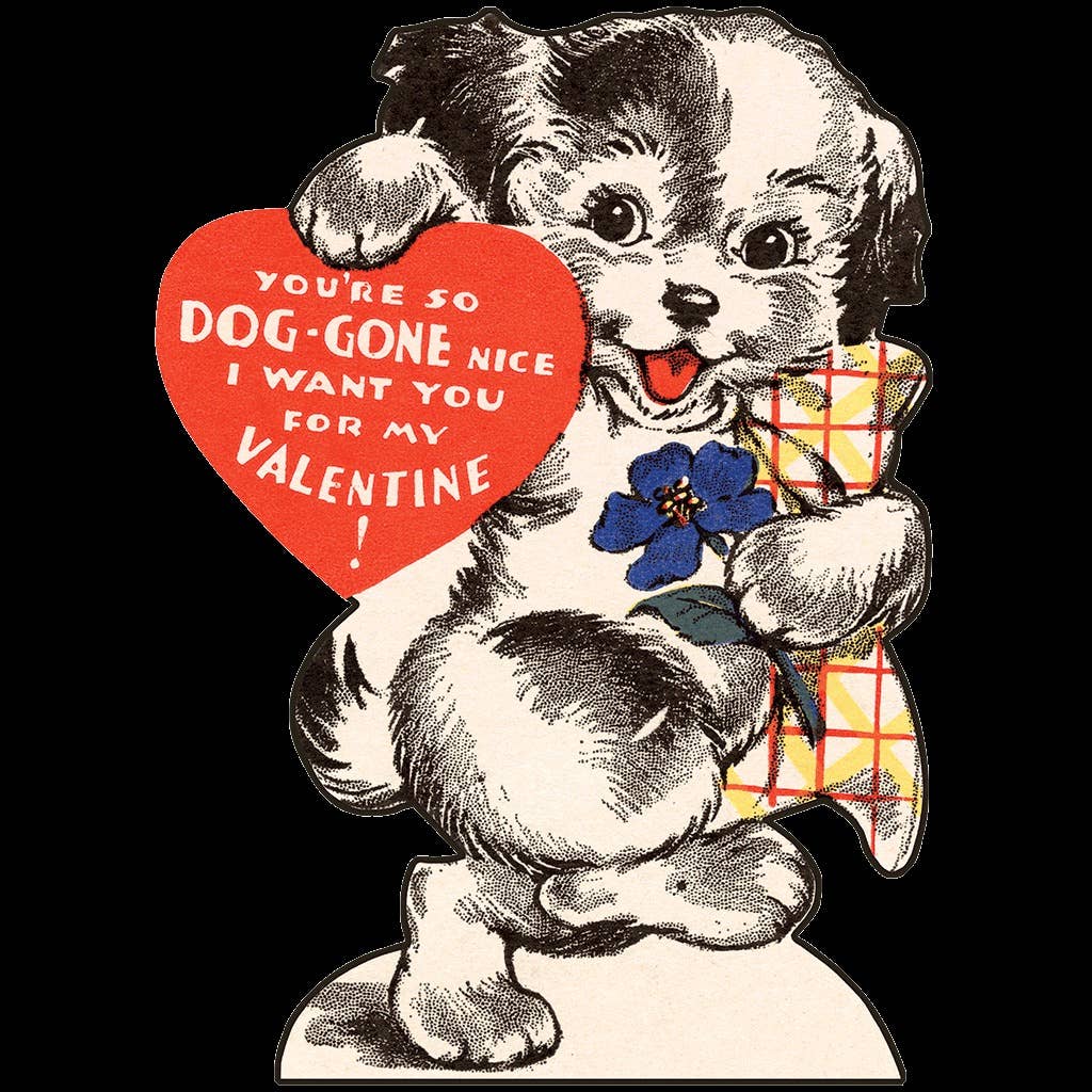 A Valentine for Everyone - Valentines Packet