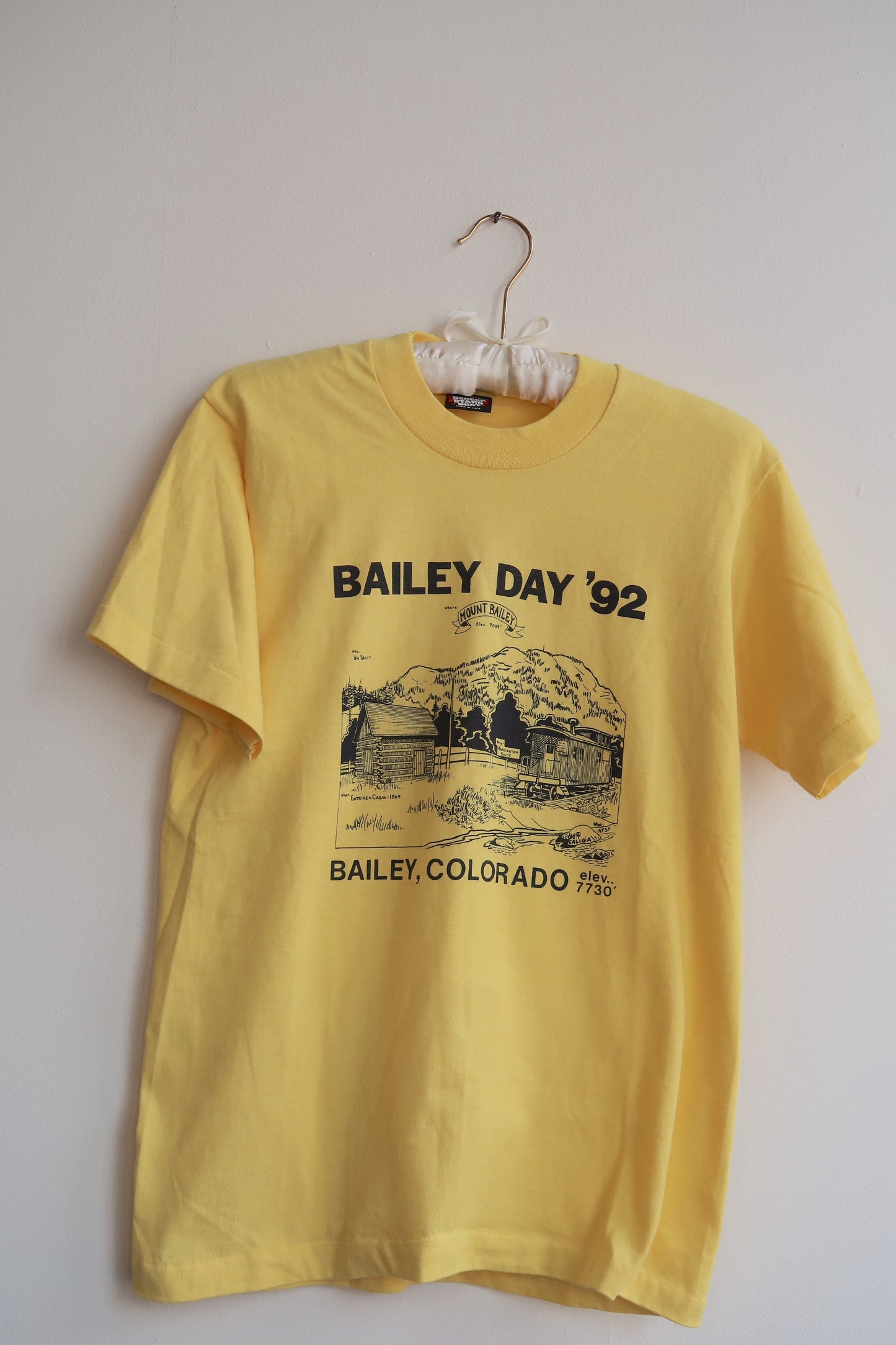 90s | Mount Bailey Tee